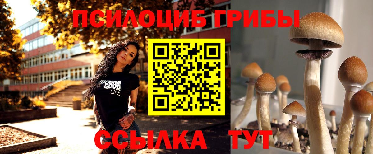 Галлюциногенные грибы Magic Shrooms  Псилоцибиновые грибы GOLDEN TEACHER  Зеленодольск  Вход с VPN 